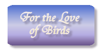 Return to For the Love of Birds